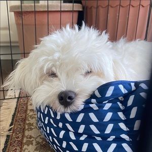 Meet your Posher, Megana